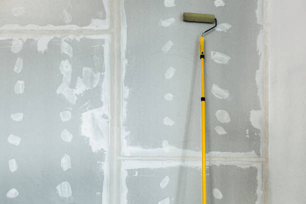 Best Water-Damaged Drywall Repair  in Buckhead Ridge, FL